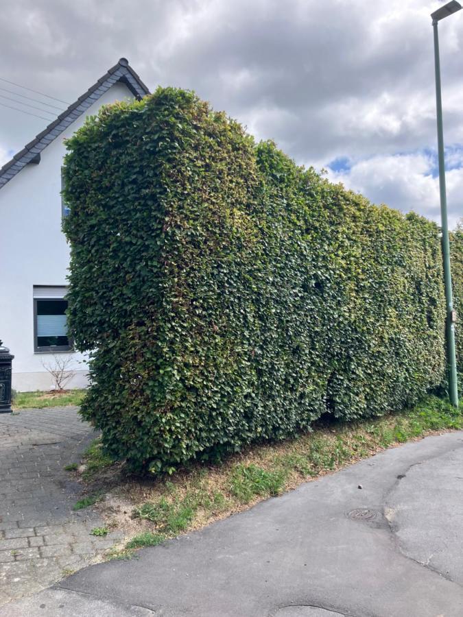 Ferienwohnung Zum Belgenbachtal Monschau Eksteriør bilde
